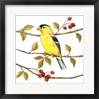 Birds & Berries II Framed Print