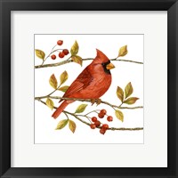 Framed 'Birds & Berries III' border=