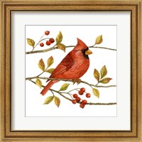 Framed 'Birds & Berries III' border=