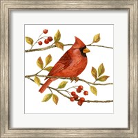 Framed 'Birds & Berries III' border=