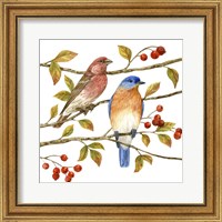 Framed 'Birds & Berries IV' border=