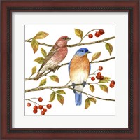 Framed 'Birds & Berries IV' border=