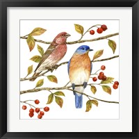 Framed 'Birds & Berries IV' border=