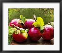 The Harvest II Framed Print