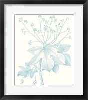 Botanical Study in Spa I Framed Print