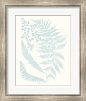 Framed 'Serene Ferns II' border=