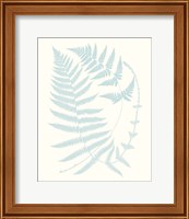 Framed 'Serene Ferns III' border=