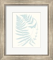 Framed 'Serene Ferns III' border=