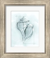 Framed 'Coastal Shell Schematic I' border=