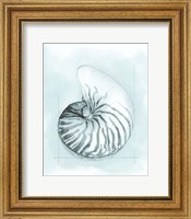 Framed 'Coastal Shell Schematic II' border=