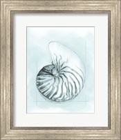 Framed 'Coastal Shell Schematic II' border=