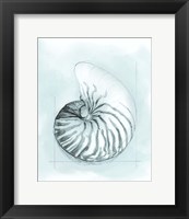 Framed 'Coastal Shell Schematic II' border=