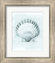 Framed 'Coastal Shell Schematic III' border=