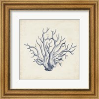 Framed 'Coral Trio in Indigo II' border=