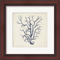 Framed 'Coral Trio in Indigo III' border=