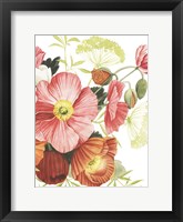 Blossom Solstice I Framed Print