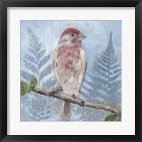 Framed 'Eastern Songbird I' border=