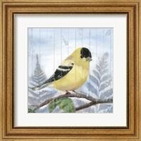 Framed 'Eastern Songbird III' border=