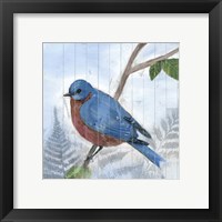 Framed 'Eastern Songbird IV' border=