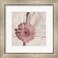 Framed 'Stone Blossom I' border=