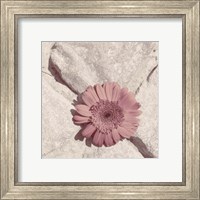 Framed 'Stone Blossom II' border=