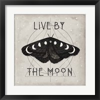 Framed 'Live by the Moon I' border=