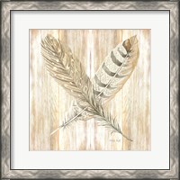 Framed 'Feathers Crossed II' border=