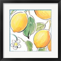 Mediterranean Breeze XVI Framed Print