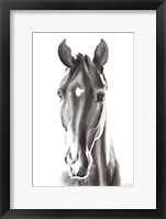 Framed Le Cheval Noir