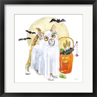 Halloween Pets V Framed Print