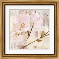 Framed 'Elegance I Pink' border=