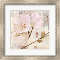 Framed 'Elegance I Pink' border=