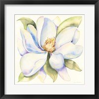 Framed Magnolia