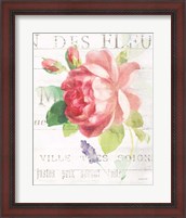 Framed 'Maison des Fleurs VIII' border=