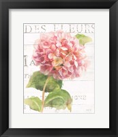 Framed 'Maison des Fleurs VII' border=