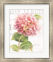 Framed 'Maison des Fleurs VII' border=