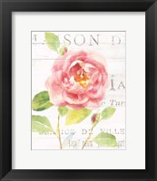 Framed 'Maison des Fleurs V' border=