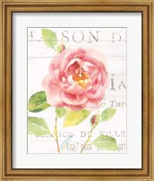 Framed 'Maison des Fleurs V' border=