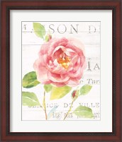 Framed 'Maison des Fleurs V' border=