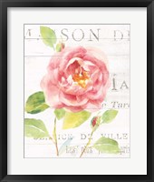 Maison des Fleurs V Framed Print