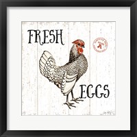 Free Range Fresh IV Framed Print