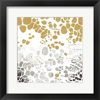 Speckled Trio II Framed Print