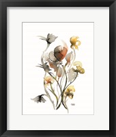 Watercolor Botanical III Framed Print