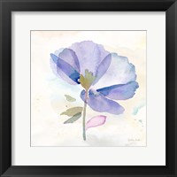 Framed 'Poppy Single Purple' border=