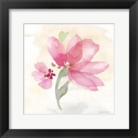 Poppy Single Pink Framed Print