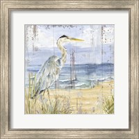 Framed 'Birds of the Coast Rustic I' border=