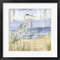 Birds of the Coast Rustic I Framed Print