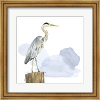 Framed 'Birds of the Coast on White I' border=