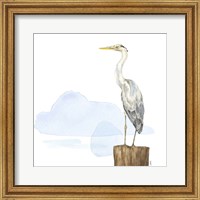 Framed 'Birds of the Coast on White II' border=