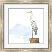 Framed 'Birds of the Coast on White II' border=